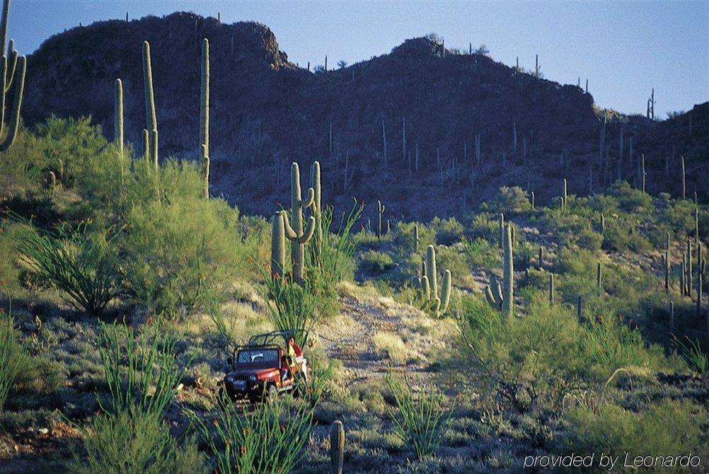Rancho De Los Caballeros Wickenburg Luaran gambar