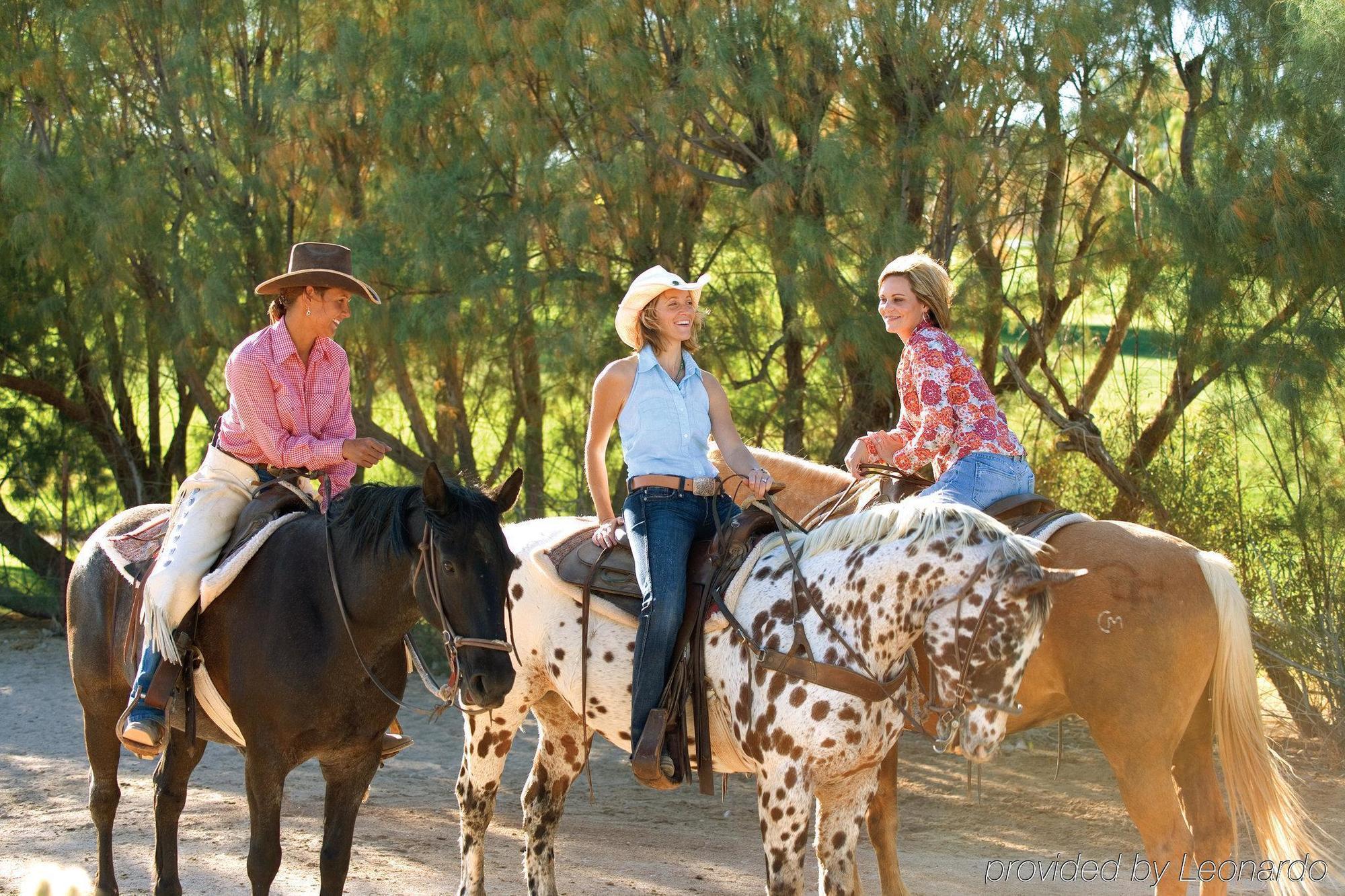 Rancho De Los Caballeros Wickenburg Luaran gambar