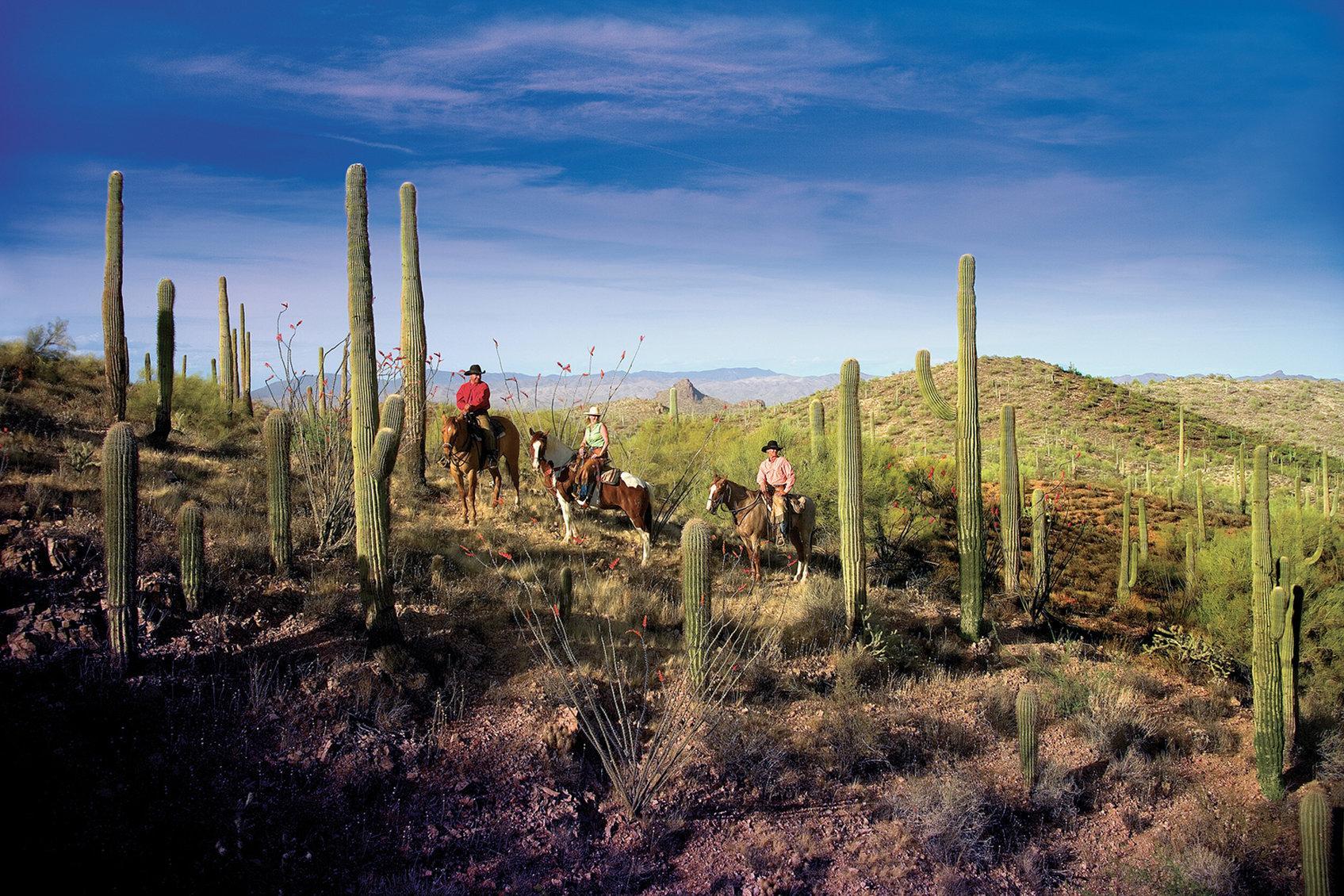 Rancho De Los Caballeros Wickenburg Luaran gambar